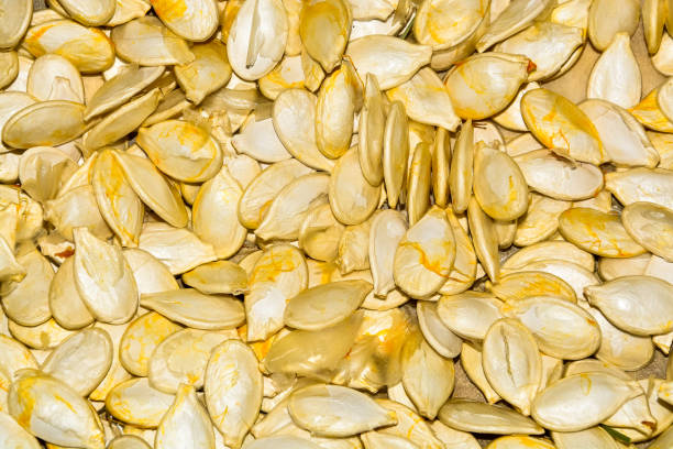  Common  Squash Seed